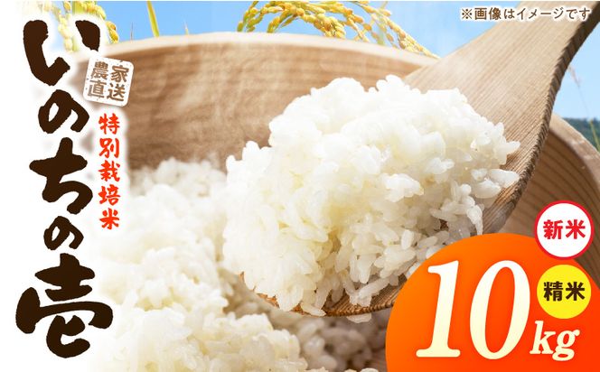【R8年産新米 先行受付】特別栽培米「いのちの壱」（10kg）＜農家直送＞ ［208K02］ 希少米 10kg 米 新米 精米 白米 ご飯 国産 産地直送 甘い 粘り強い もちもち お取り寄せ こだわり米 愛知県 小牧市 送料無料