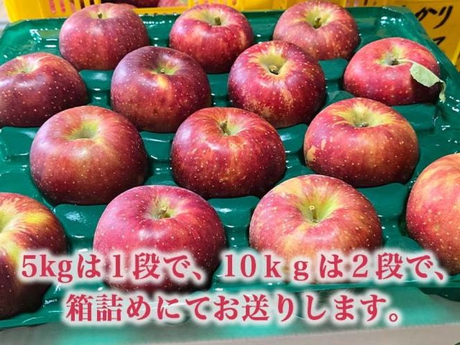 yxRːszyː̂ʎzyьz ˂_̒r Tӂ 10kgʁi24`32^j Eւ̔zs 2025N11{`12{ɏ\