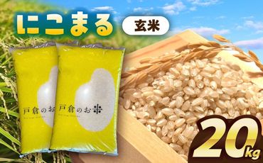 ＼11月～選べる配送月／にこまる　玄米　20kg　お米　ご飯　愛西市／株式会社戸倉トラクター[AECS066]