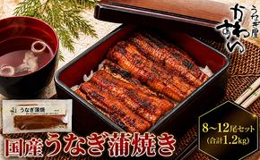 国産うなぎ  蒲焼き 8～12尾セット(合計1.2kg) タレ付き 国産 うなぎ ウナギ 鰻 蒲焼 かば焼き セット 惣菜 冷凍