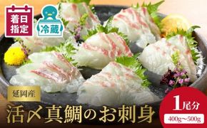 【日向灘どれ】延岡産活〆真鯛のお刺身　半身ロインパック×2（1尾分）約400g～500g　N019-YA5508