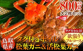 1034.鳥取県産　タグ付きボイル松葉ガニと活松葉ガニの欲張りフルコース大2枚セット　(800g前後)　※2026年11月上旬～2027年3月下旬頃に順次発送予定 313726_AL033