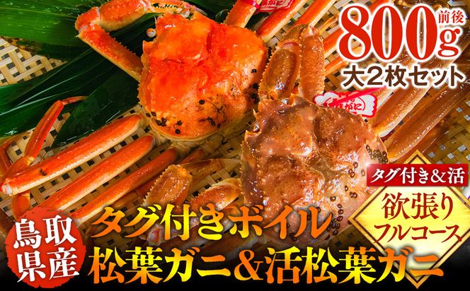 1034.鳥取県産　タグ付きボイル松葉ガニと活松葉ガニの欲張りフルコース大2枚セット　(800g前後)　※2026年11月上旬～2027年3月下旬頃に順次発送予定 313726_AL033