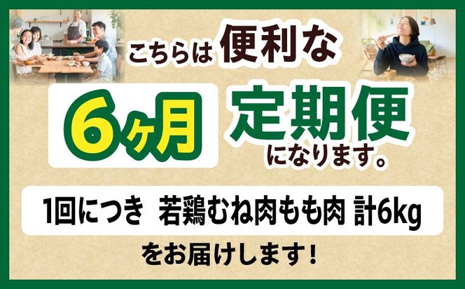宮崎県産 若鶏切身 むね肉&もも肉 6kg（各300g×10袋）【6か月定期便】