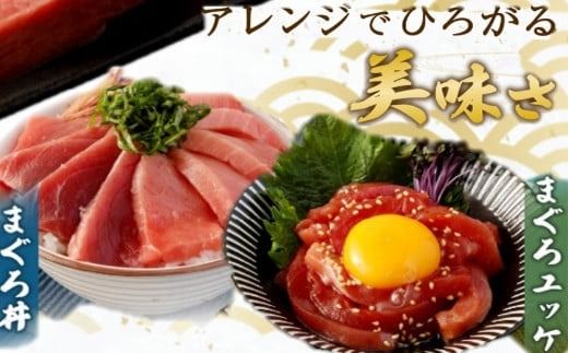 【数量限定】 厳選 天然 本マグロ 赤身 500g 以上 国産 マグロ 鮮魚 刺身 刺し身 漬け丼 海鮮丼 おかず 魚介類 海鮮 海産物 まぐろ 本まぐろ 鮪 ブロック 500グラム 惣菜 冷凍 スピード発送 美阿丸 高知県 室戸市
