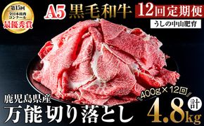 【定期便全12回】＜A4・A5等級＞黒毛和牛堪万能切り落とし肉 計4.8kg（400g×1P・全12回） t0144-001