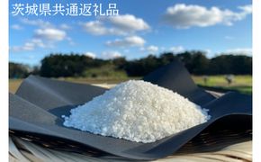 【栽培期間農薬不使用】R7年産 マキタ超こしひかり 白米10kg【茨城県共通返礼品・行方市産】【おいしい お米 マキタ 減農薬 安心  鹿嶋市】（KBE-103）