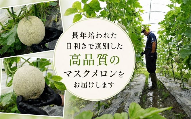 マスクメロン「パノン」 農薬不使用栽培 贈答用 化粧箱入り お届け：７月下旬～９月上旬