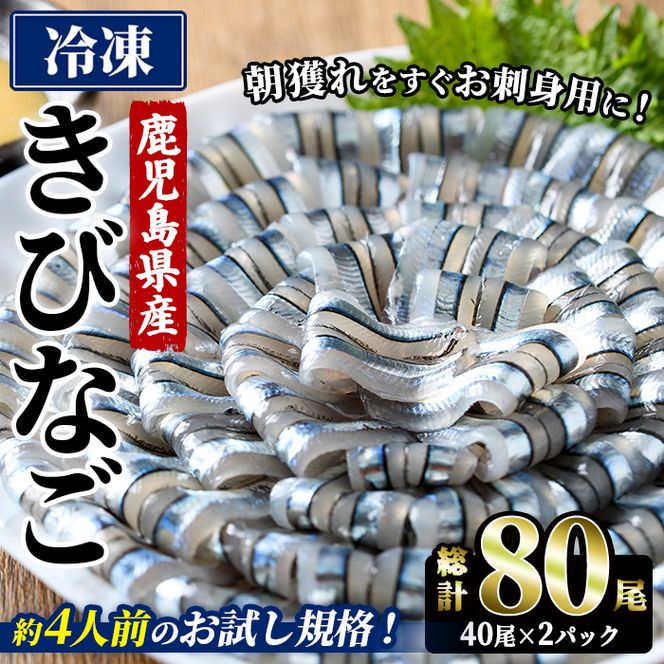 鹿児島県産！阿久根のきびなごお刺身セット (計80尾/40尾×2パック) 魚介類 冷凍 海鮮 魚 きびなご キビナゴ 刺身 さしみ 刺し身 青魚 子魚 小分け 阿久根市産 国産 定期便 お試し 【椎木水産】akn054-16