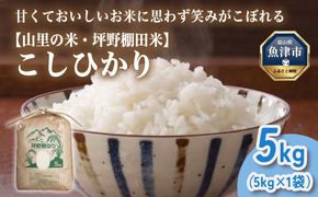山の湧き水 寒暖差 山里 山里の米･坪野米 R8年産 こしひかり 5kg　※北海道・沖縄・離島への配送不可 ※2026年10月～発送