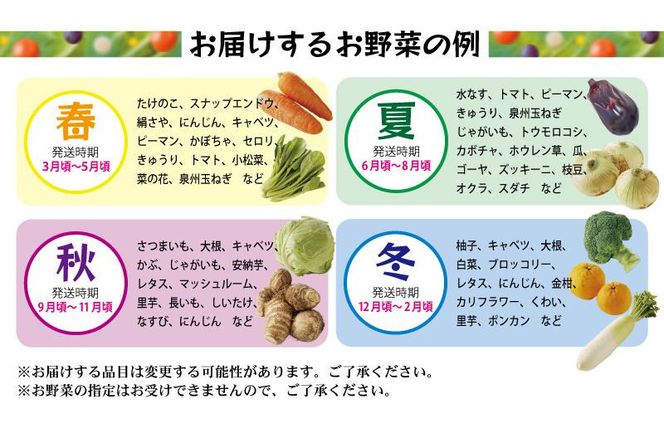 010B507y 【年内発送】旬の野菜セット 詰め合わせ 15種類 国産 新鮮 お試し おまかせ お楽しみ