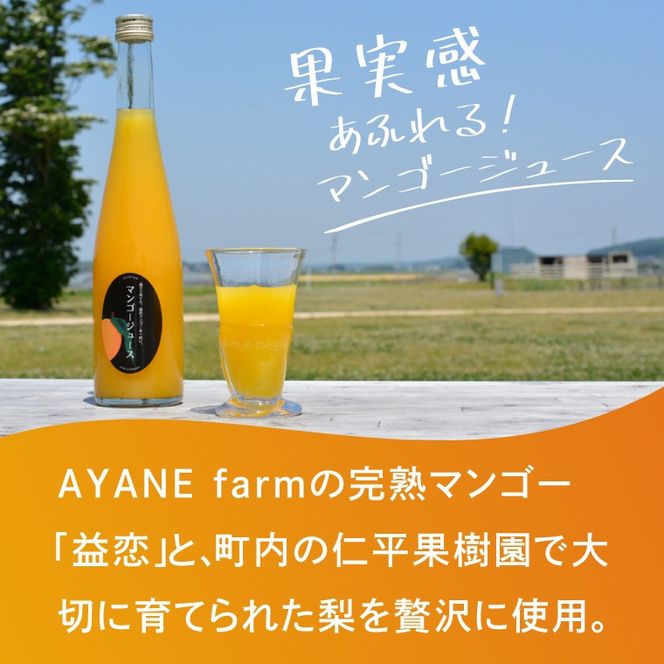 【数量限定】＼AYANE farmの／マンゴージュース　新鮮 甘い 果汁 完熟マンゴー （CA006）