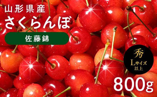 FYN6-618 ≪2027年先行予約≫山形県産 さくらんぼ 佐藤錦 800g(400g×2) 秀品 L以上 バラパック詰め 2027年6月中旬から順次発送 果物 くだもの フルーツ サクランボ チェリー 贈答 贈り物 ギフト プレゼント 自宅 家庭 産地直送 山形県 西川町 月山