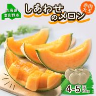 ＜2026年発送＞ふらの産 しあわせのメロン 赤肉 4～5玉 計8kg メロン 富良野メロン