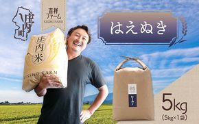 吉祥ファーム はえぬき 5kg 令和7年産 2025年産 ブランド米 コシヒカリの原点、亀の尾発祥の地 庄内