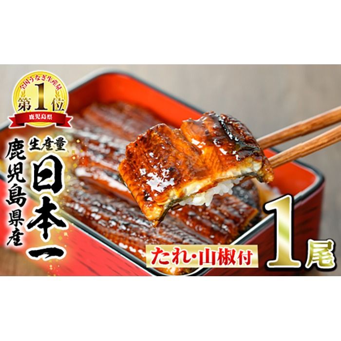 [0074324a]東串良町のうなぎ蒲焼(無頭)(1尾・約150g・タレ、山椒付) うなぎ 高級 ウナギ 鰻 国産 蒲焼 蒲焼き たれ 鹿児島 ふるさと お試し[アクアおおすみ]