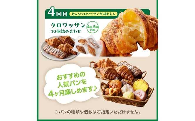 京都 丹後のおまかせ　お楽しみパン4カ月定期便　【訳あり】 パン 詰め合わせ 内容おまかせ 京都パン 菓子パン 総菜パン お食事パン ベーグル クロワッサン　BT00039