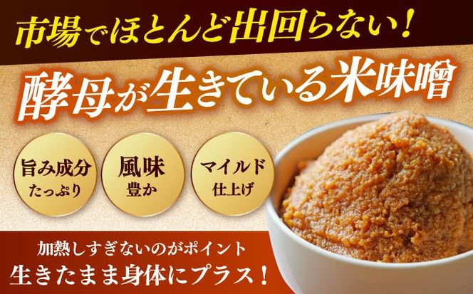 【令和7年10月以降発送】福みそ 米味噌 7kg《築上町》【安部味噌製造所】 [ABAF015]