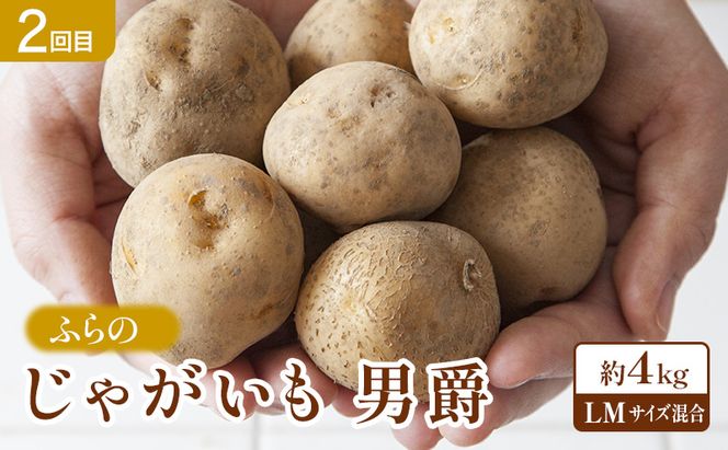 【2026年夏～秋発送】 定期便 3ヵ月 旬を味わう 基本野菜セット 全3回（ 野菜 新鮮 直送 とうもろこし じゃがいも 男爵 玉ねぎ 道産 ふらの 送料無料 数量限定 先着順 富良野市 ）
