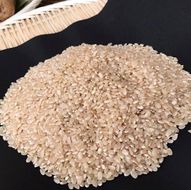 【2026年9月下旬より順次発送】【栽培期間農薬不使用】令和8年産こしひかり 10kg(玄米)｜米 お米 こめ こしひかり コシヒカリ 令和8年産 先行予約 茨城県 行方市(BI-62)