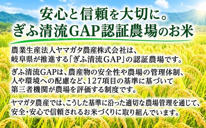 岐阜県美山産コシヒカリ 令和8年産 新米 5kg| 令和8年 米 精米 白米 お米 コシヒカリ こしひかり ツヤ 粘り 甘み ヤマガタ農産 ※2026年11月～発送
