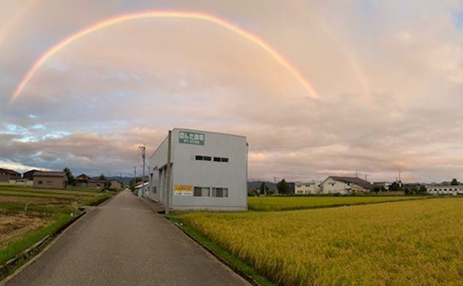 天日干有機米こしひかり「天地の誉」白米5kg お米 コシヒカリ 石川県産 