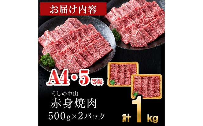 ＜A4・A5等級＞鹿児島県産黒毛和牛 うしの中山 赤身焼肉用 計1kg(500g×2P) c8-034