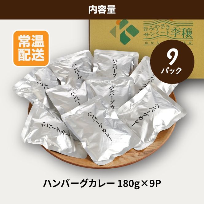 レトルト ハンバーグカレー 9パック K16_0042_2
