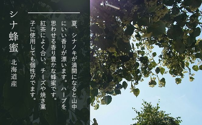 【国産純粋蜂蜜】北海道産 シナ蜂蜜 2kg (1kgパック×2)［ナルセ養蜂場］【 はちみつ ハチミツ 蜂蜜 ハニー 無添加 天然 健康 美容 料理 無添加 純粋 希少 大容量 ギフト プレゼント 自宅用 家庭用 北海道 十勝 幕別 】