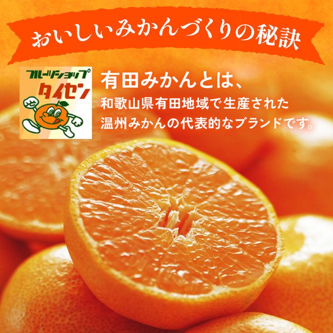 【先行予約】【ご家庭用】和歌山有田みかん約5kg(S、Mサイズ) ｜ みかん 有田みかん 温州みかん ミカン 温州ミカン 柑橘 果物 フルーツ 甘い 先行予約 s m 甘い 5kg