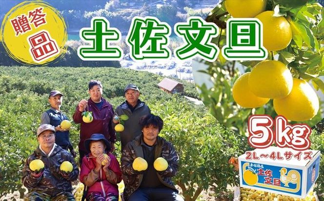 香る！さっぱり！岡林さんの土佐文旦　贈答用5kg