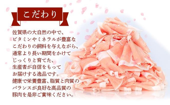 800g 肥前さくらポークロースしゃぶしゃぶ用 B-421