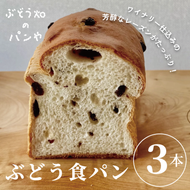 ぶどう食パン 3本 パン 食パン 米粉パン 米粉 myz06 myz08 myz11 myz19 myz24