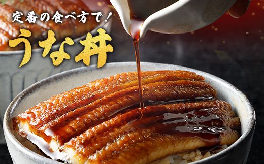 【一度食べたらやみつき！リピート多数 】うなぎ蒲焼２尾セット【D009W】