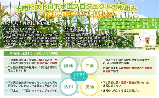 2026年発送先行予約 北海道 十勝 幕別産 とうもろこし 恵味ゴールド 6本「じゅんかん育ち」北王農林［十勝BISTRO下水道プロジェクト］【 とうもろこし とうきび コーン 野菜 フルーツ 甘い 】