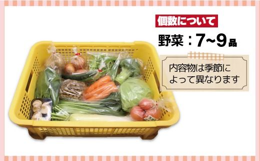 【奇数月お届け】むなかた旬のお任せセット(野菜) 7～9品【ほたるの里】_HB0172