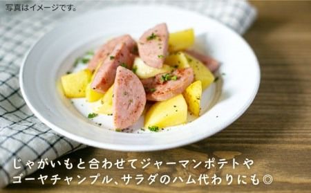 【限定20品！】竹原さんちの美豚ギフトセットA（ソーセージ300g×2本＋腕スライス約300g×3袋） 糸島市 / 竹原さんちの美豚 [AHK001]