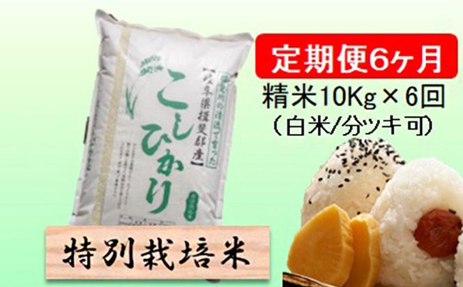 定期便 6カ月【 令和8年産 】毎月  精米 10kg（ 白米 /7分/ 5分 ツキ可）【 コシヒカリ 】玄米は別に出品