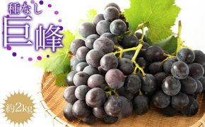 ［先行予約］種なし巨峰　約２kg［2026年8月上旬以降順次発送］  AZ01