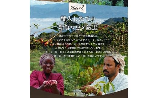 メール便発送【訳あり】富士山の湧き水で磨いた スペシャルティコーヒーセット 選べる 粉 (粗挽き・中挽き・細挽き) 400g 珈琲 ブレンド スペシャルティ 挽き立て 個包装 深煎り 5000円以内 山梨 富士吉田