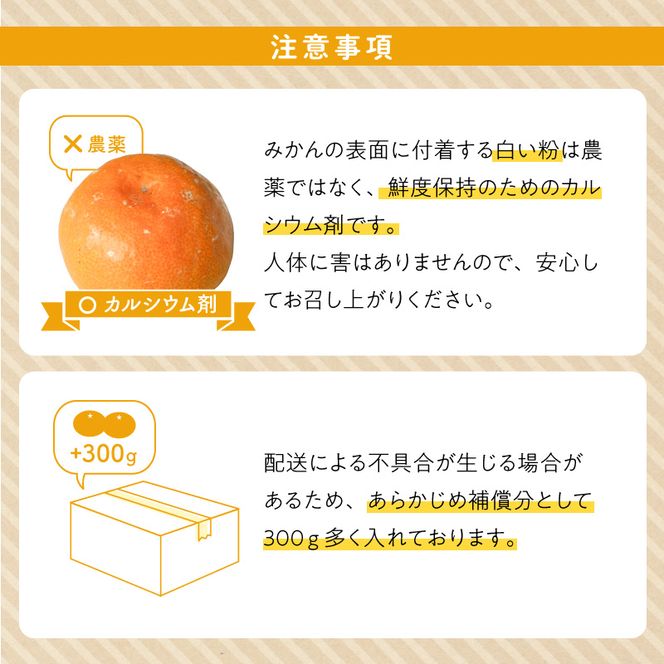【2026先行予約】有田みかん 約5kg【家庭用】(S～Lサイズ)【まごころ手選別】_ZE6423