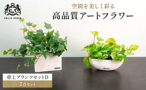 エミリオロバ　卓上プランツセットＤ