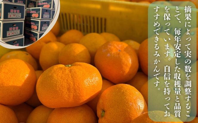 則村園産 有田みかん 2.5kg 温州みかん みかん 蜜柑 甘い 甘いみかん 有田 有田川町 和歌山 EX01