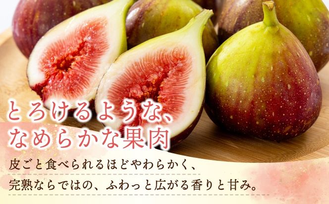 099H4538 【先行予約】【農家直送】朝採り 完熟いちじく 700g以上