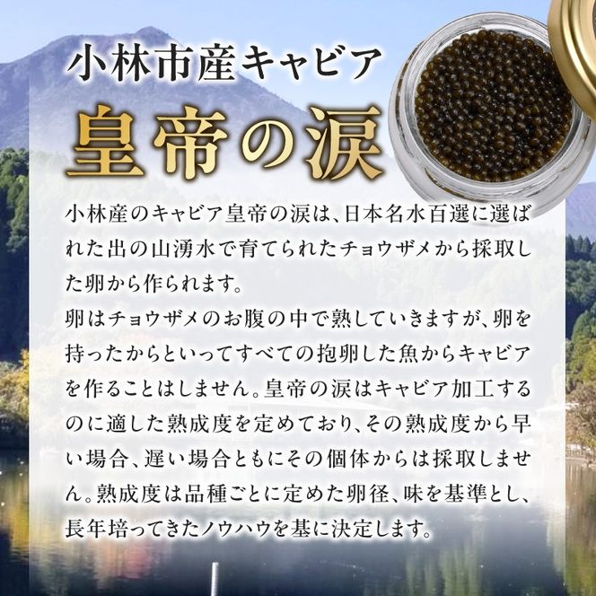 【純国産キャビア】皇帝の涙 2種食べ比べセット 40g 国産 キャビア チョウザメ 宮崎 小林市 食べ比べ