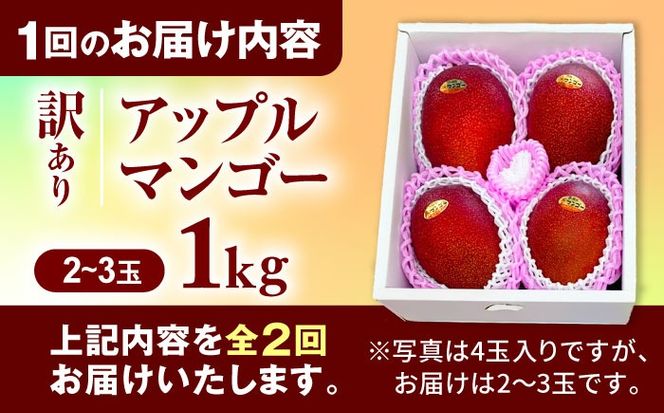 【全2回】太陽の恵み マンゴーご褒美便 (総計2kg) マンゴー 2026 沖縄 果物 フルーツ ギフト 沖縄市 / 仲村農園[BCZZ051]