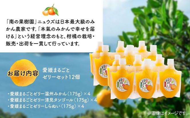 【皮までまるごと国産無添加】愛媛まるごとゼリーセット（12個） IKTF012