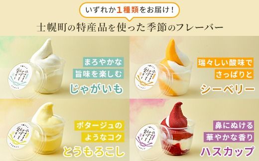 北海道 古田牧場 生 ソフトクリーム 2種 140ml×12個 ミルク 季節限定 牧場 アイスクリーム 牛乳 生乳 スイーツ デザート 詰め合わせ 詰合せ 十勝 士幌町【MB01】