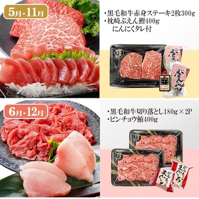 定期便(6回)枕崎お楽しみ便(黒毛和牛・まぐろ・かつおetc) GG-0046 【1166768】