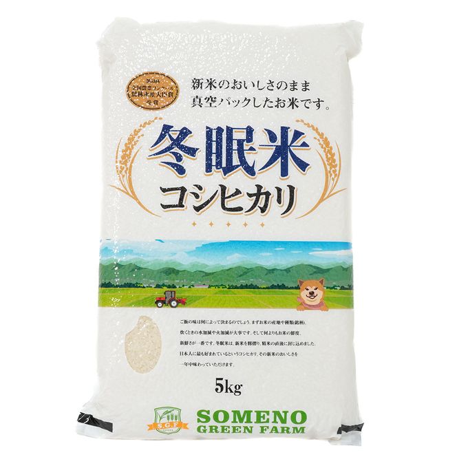 令和8年産 コシヒカリ 冬眠米 5kg（5kg×1袋） | 茨城県産 白米 精米 ごはん お米 冬眠 とうみんまい ブランド米 検査米 単一原料米 国産 守谷市 送料無料